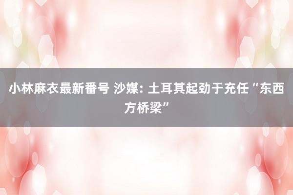 小林麻衣最新番号 沙媒: 土耳其起劲于充任“东西方桥梁”
