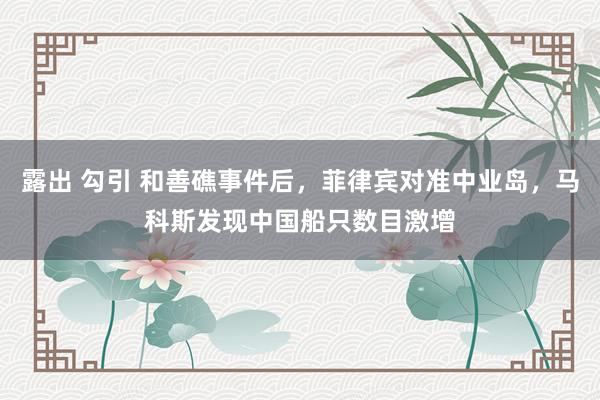 露出 勾引 和善礁事件后，菲律宾对准中业岛，马科斯发现中国船只数目激增