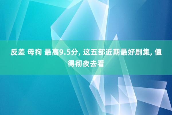 反差 母狗 最高9.5分, 这五部近期最好剧集, 值得彻夜去看