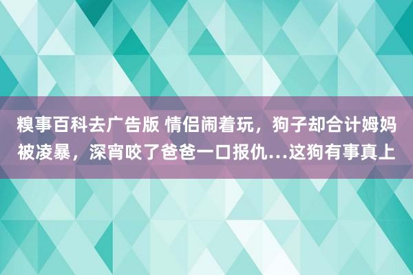 糗事百科去广告版 情侣闹着玩，狗子却合计姆妈被凌暴，深宵咬了爸爸一口报仇…这狗有事真上